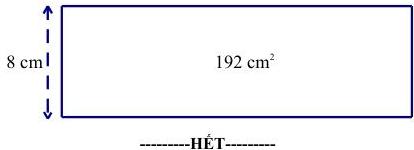 mảnh giấy hình chữ nhật có chiều rộng 8 cm và diện tích 192 cm²