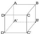 Hình lập phương ABCD.A'B'C'D'