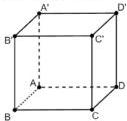 Hình lập phương $ABCD.A'B'C'D'$