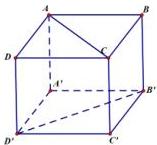 Hình hộp ABCD.A'B'C'D' có các mặt là hình vuông
