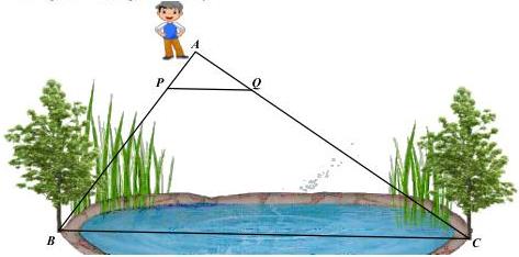 Sơ đồ tam giác ABC với điểm P trên AB, điểm Q trên AC và đoạn BC qua hồ nước