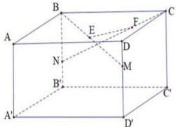 hình hộp chữ nhật ABCD.A'B'C'D' với các dây đèn trang trí NC, BM, EF