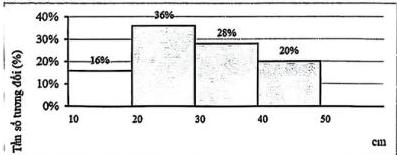 biểu đồ tần số tương đối ghép nhóm độ dài của 50 lá dương xỉ trưởng thành