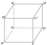 Hình lập phương ABCD.A'B'C'D'