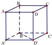 hình lập phương ABCD.A'B'C'D'