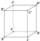 hình lập phương ABCD.A'B'C'D'