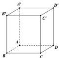 hình lập phương ABCD.A'B'C'D'