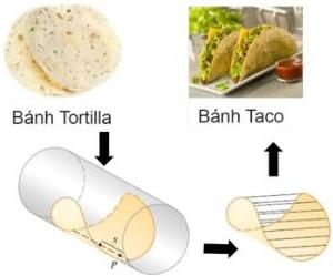 Hình minh họa bánh Tortilla, bánh Taco và cách gấp bánh Tortilla quanh hình trụ