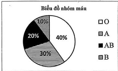 Biểu đồ nhóm máu