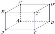 Hình lập phương ABCD.A'B'C'D'