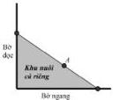 Sơ đồ góc hồ với bờ ngang, bờ dọc, lưới giăng qua cọc tại vị trí A tạo thành khu nuôi cá riêng