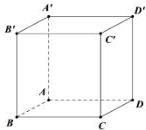 Hình lập phương ABCD.A'B'C'D'