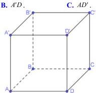 Hình lập phương ABCD.A'B'C'D'