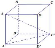 Khối lập phương ABCD.A'B'C'D' với đường chéo AC'