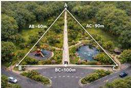 Vườn hoa hình tam giác ABC với AB = 60m, AC = 90m, BC = 100m và đường phân giác AD
