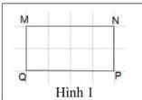 Hình 1