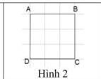 Hình 2