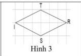 Hình 3