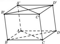 Hình hộp ABCD.A'B'C'D'