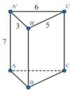 hình lăng trụ đứng tam giác ABC.A'B'C'