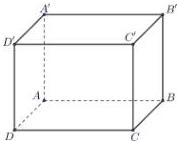 Hình hộp chữ nhật ABCD.A'B'C'D'