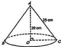 Hình nón có chiều cao 20 cm và đường sinh 25 cm, đáy tâm O