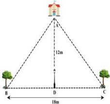 Hình vẽ minh họa vị trí trường học A, cột đèn D và hai cây B, C với AD = 12m, BC = 18m, AD vuông góc với BC tại D