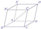 hình hộp ABCD.A'B'C'D'
