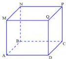 hình hộp chữ nhật ABCD.MNPQ