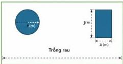 Minh họa khu vườn hình chữ nhật với ao nuôi cá hình tròn bán kính r (m) và chuồng gà hình chữ nhật kích thước x (m) và y (m), phần còn lại trồng rau