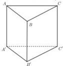 Hình lăng trụ đứng $ABC.A'B'C'$