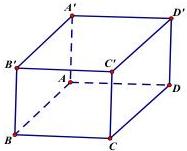 Hình lập phương ABCD.A'B'C'D'
