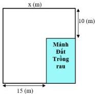Sơ đồ khu vườn hình vuông cạnh x (m) với mảnh đất trồng rau hình chữ nhật ở góc, có kích thước 15 (m) và 10 (m)