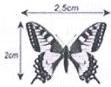 Hình a - con bướm với kích thước 2,5cm x 2cm