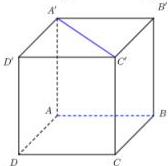 hình lập phương ABCD.A'B'C'D' với đoạn thẳng A'C'