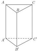 Hình lăng trụ đứng ABC.A'B'C'