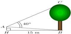 Hình vẽ quan sát cây với AH = 3 m, HB = 15 m và góc BAC = 40°