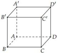 Hình lập phương $ABCD.A'B'C'D'$