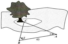 Sơ đồ đo khoảng cách từ điểm A đến gốc cây C trên cù lao với đoạn AB = 40m và các góc tại A và B