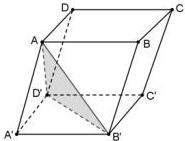 Hình hộp ABCD.A'B'C'D' với mặt phẳng AB'D' được tô đậm