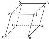Hình hộp ABCD.A'B'C'D'