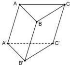 Hình lăng trụ ABC.A'B'C'