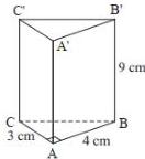 Hình lăng trụ đứng tam giác ABC.A'B'C' có đáy là tam giác vuông tại A với AC = 3 cm, AB = 4 cm và chiều cao BB' = 9 cm