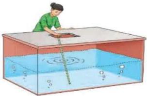 Minh họa bác Hà đo mực nước trong bể hình hộp bằng thanh gỗ