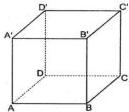 Hình lập phương ABCD.A'B'C'D'