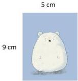 Hình chữ nhật 5 cm x 9 cm chứa hình gấu trắng