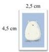 Hình A kích thước 2,5 cm x 4,5 cm chứa hình gấu trắng