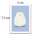Hình B kích thước 5 cm x 7,5 cm chứa hình gấu trắng