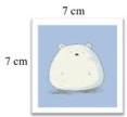 Hình C kích thước 7 cm x 7 cm chứa hình gấu trắng
