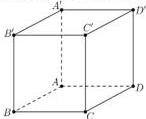 Hình lập phương ABCD.A'B'C'D'